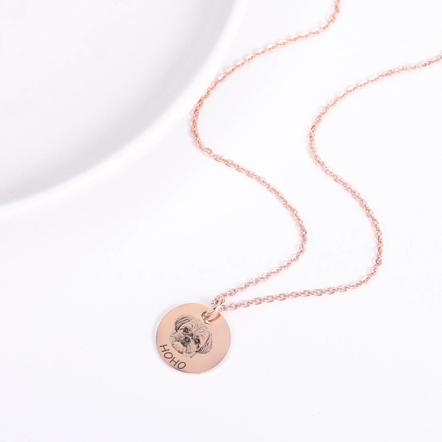 Colar Foto e Nome do Pet Personalizado - Aço Inox Banhado